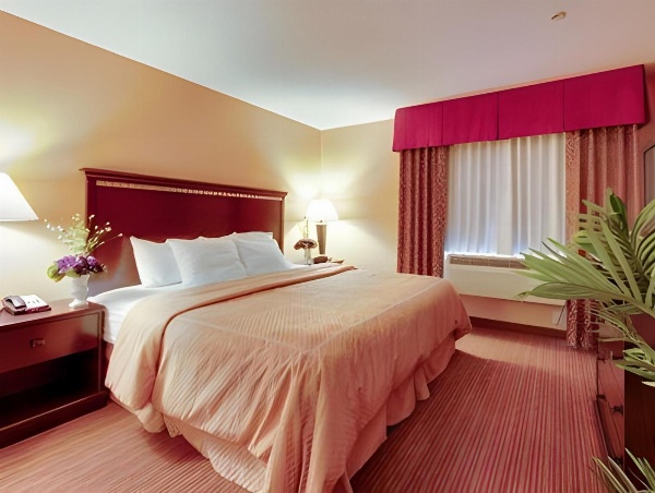 Comfort Suites Airport Tucson image 2